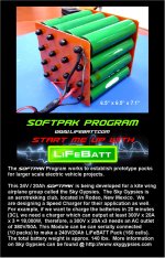LiFeBATT SOFTPAK Program2.jpg