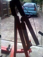 20100402_mirage_crane.jpg