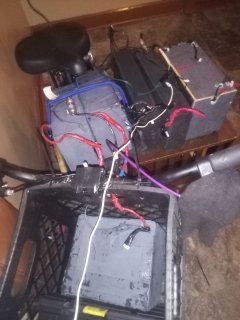 IMG_20231118_072142991.jpg