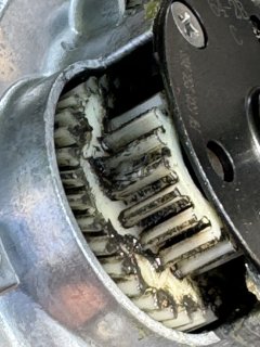 IMG_2891.jpeg