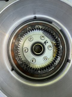 IMG_2896.jpeg