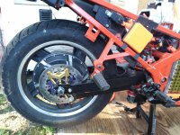 IMG_20240606_093729.jpg