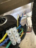 IMG_2247.jpeg