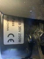 IMG_0206.jpeg