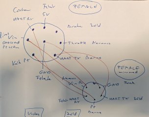 IMG_20240622_110243.jpg