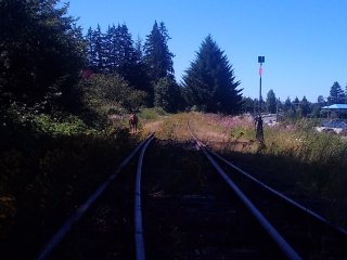P_20240701_152519.jpg