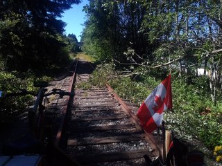 P_20240701_155859.jpg
