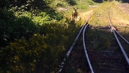 P_20240701_152059.jpg