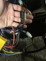 IMG_5465.jpeg