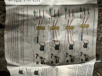 IMG_5479.jpeg