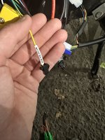 IMG_5471.jpeg