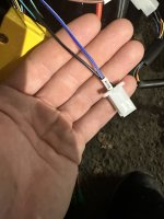 IMG_5477.jpeg