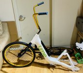 IMG_1382.jpeg