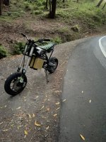 IMG_0326.jpeg