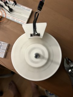 IMG_3998.JPEG