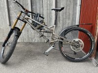 IMG_2176.jpeg