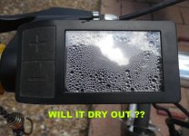 Will It Dry Out.jpg