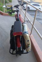 IMG_20240912_165131_807_SM.jpg