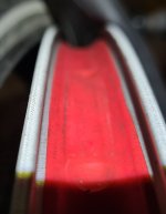20241011_064745.jpg
