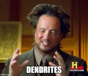 1728876224227.png