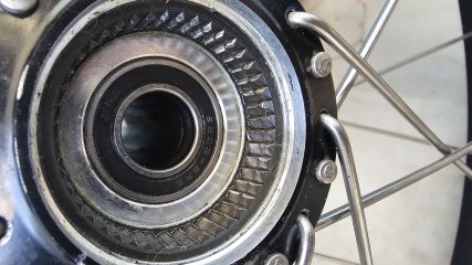 20241124_162322.jpg