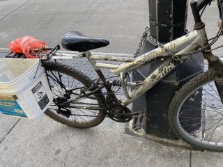 IMG_4322.jpeg