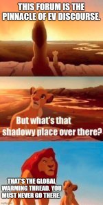 simba.jpg