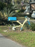 IMG_7336.jpeg