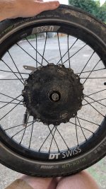 PXL_20250212_070320183.jpg