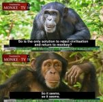 monke tv.jpg