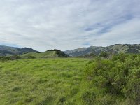 IMG_5647.jpeg