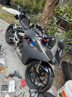 IMG_3558.jpeg