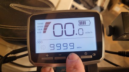 20250401_204243.jpg