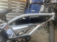 IMG_4764.jpeg IMG_4764.jpeg