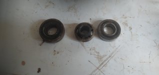 20250428_171812.jpg