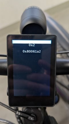 PXL_20250524_143542197.jpg