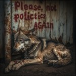 Please not politics again(85).jpeg