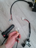 20250613_101841.jpg