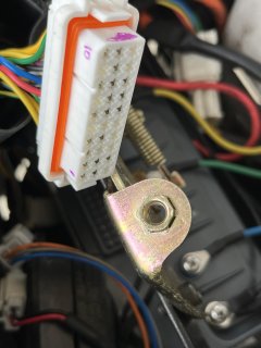 IMG_0024.jpeg