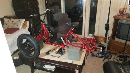 20250817_014445.jpg