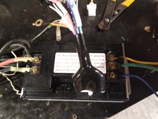 IMG_20251004_175422.jpg