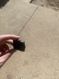 IMG_2644.JPEG IMG_2644.JPEG