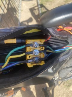 IMG_2646.JPEG IMG_2646.JPEG