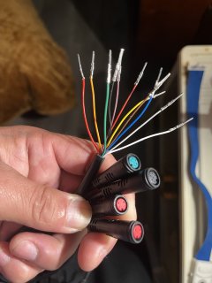 IMG_4013.jpeg