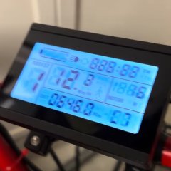 IMG_0551.jpeg