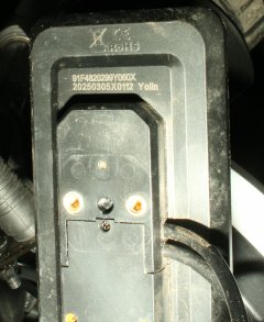 mot_display.jpg