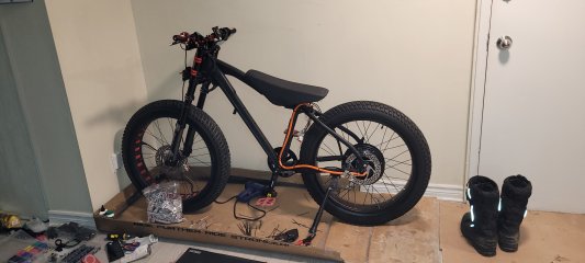 20260221_172041.jpg