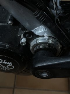IMG_1321.jpeg