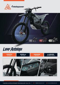 Leap Antelope-1.jpg