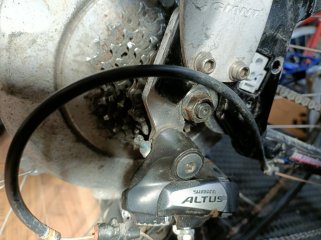 IMG20260402123123.jpg